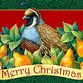 Merry Christmas Partridge
