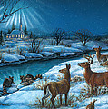 Peaceful Winters Night